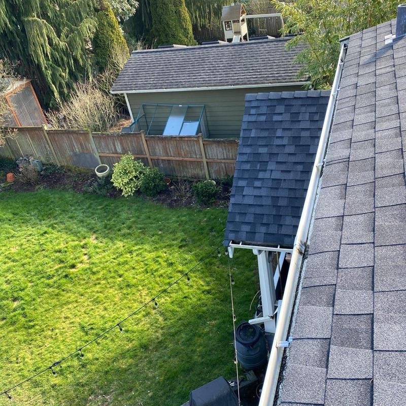 Roof gutters cleaned and moss treated on shingle roof