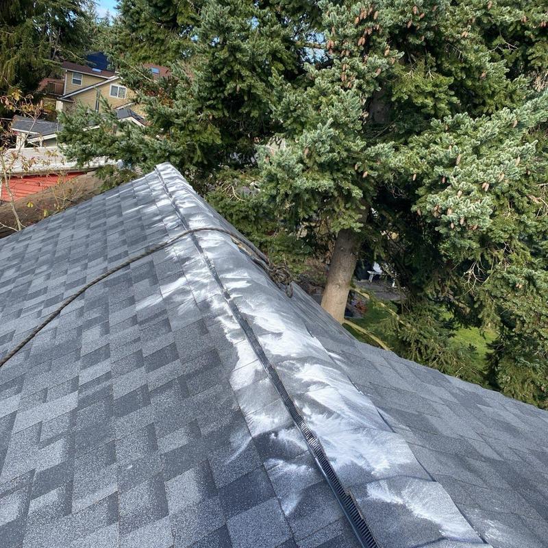Roof shingles with moss treatment traces near trees