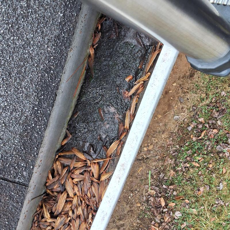 Roof gutter clogged with leaves and debris
