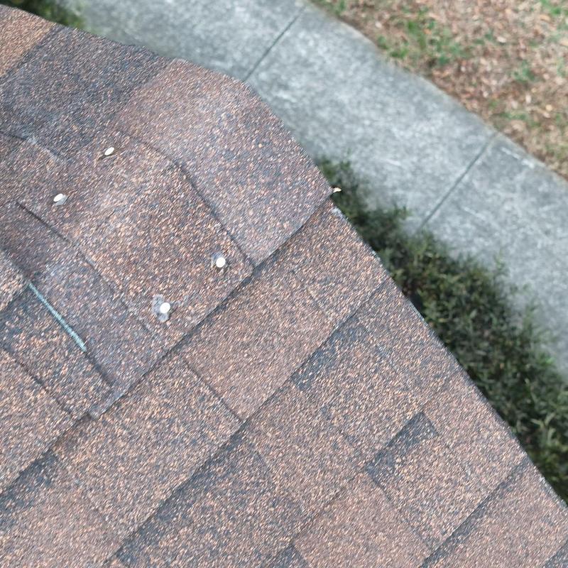 Tamko Elite 3-tab shingle roof edge close-up