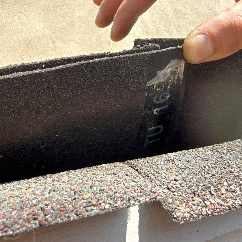 Asphalt shingle edge lifting during roof inspection