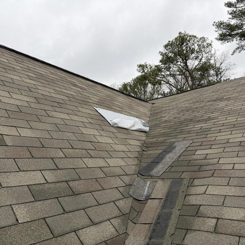 Roof shingles with new replacement shingle installed