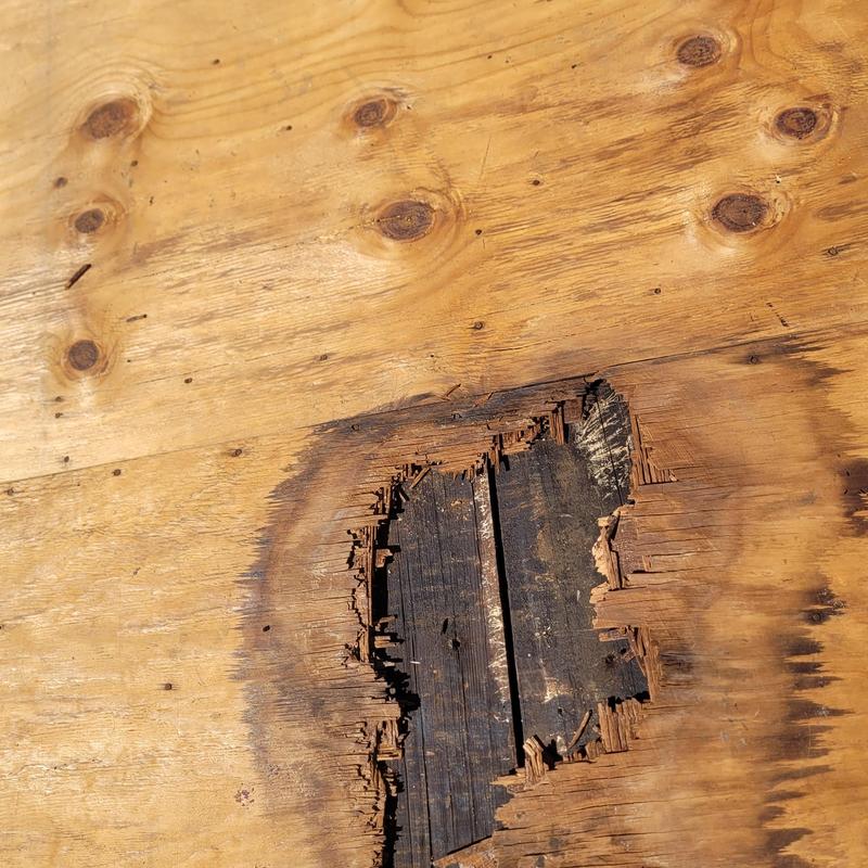 Roof decking with water damage and rot hole