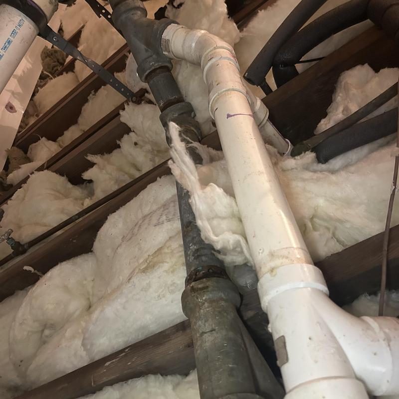 Bathroom secondary drain line with insulation in ceiling Bathroom secondary drain line with insulation in ceiling