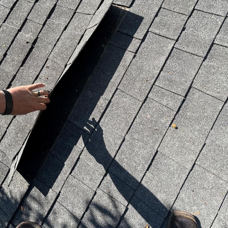 Asphalt roof shingles lifted after wind damage