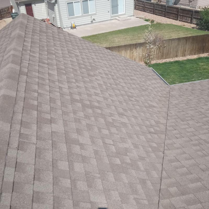 Shingle roof with no hail damage in backyard view Shingle roof with no hail damage in backyard view