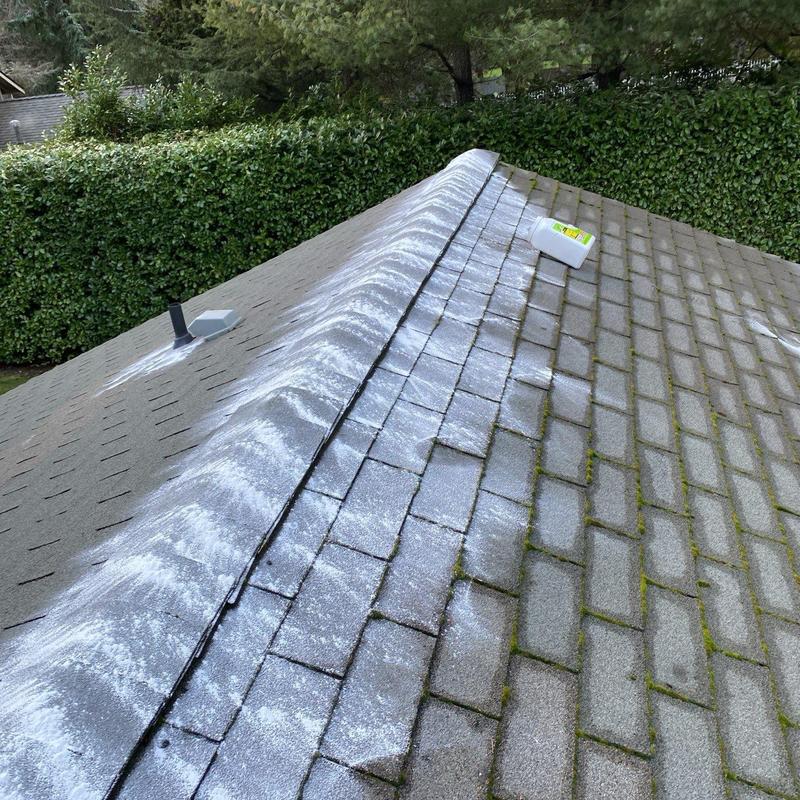 Roof shingles with moss treatment application