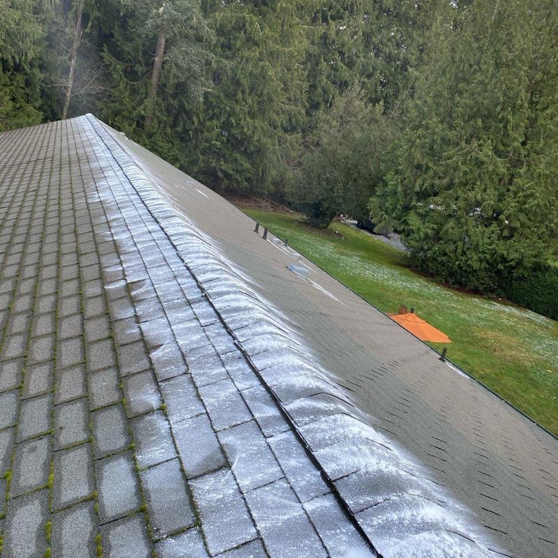 Roof ridge with moss treatment and leaf debris removal