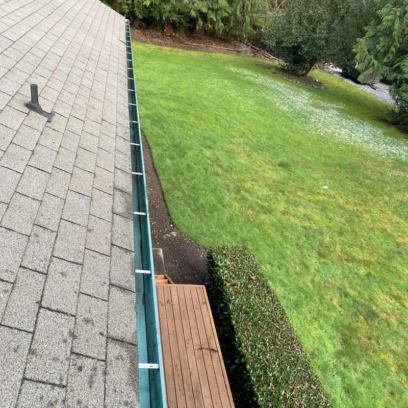 Gutter cleaning with leaf removal on asphalt roof