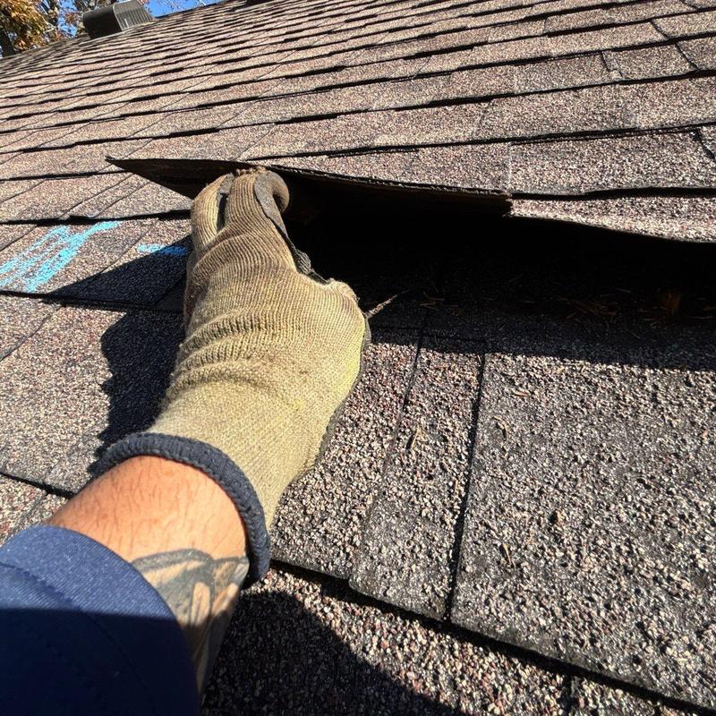 Asphalt shingles lifted for hail damage inspection