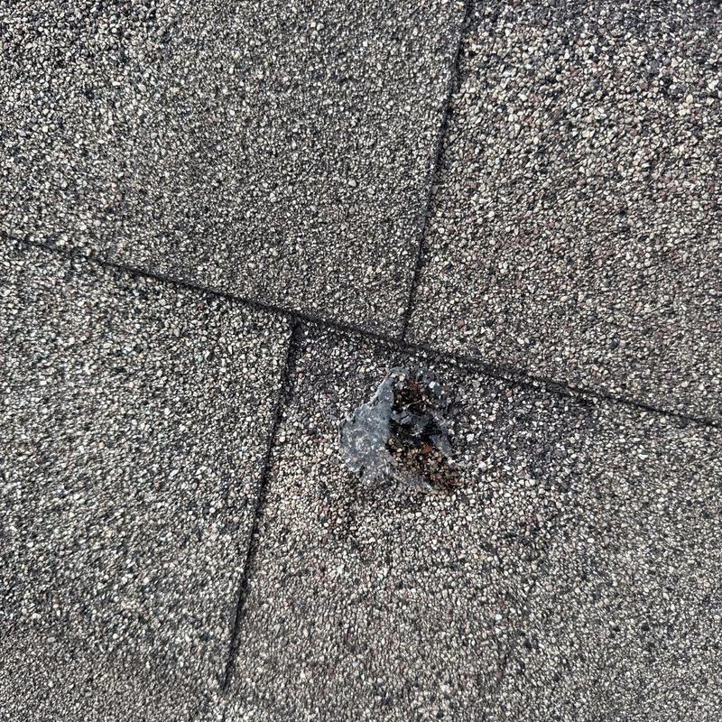 Asphalt shingle hail damage with granule loss