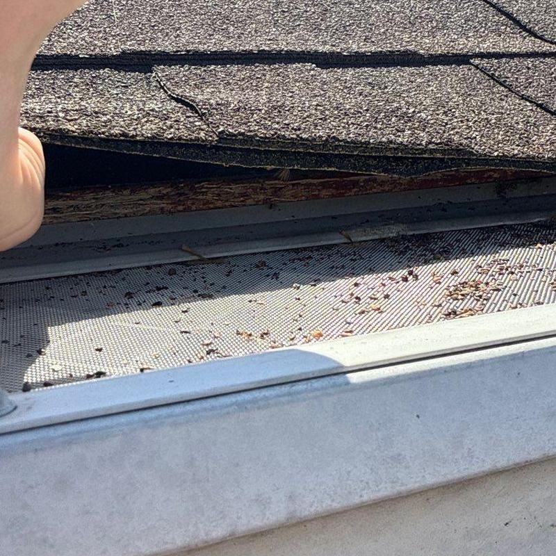 Asphalt shingles with visible hail damage and decking decay