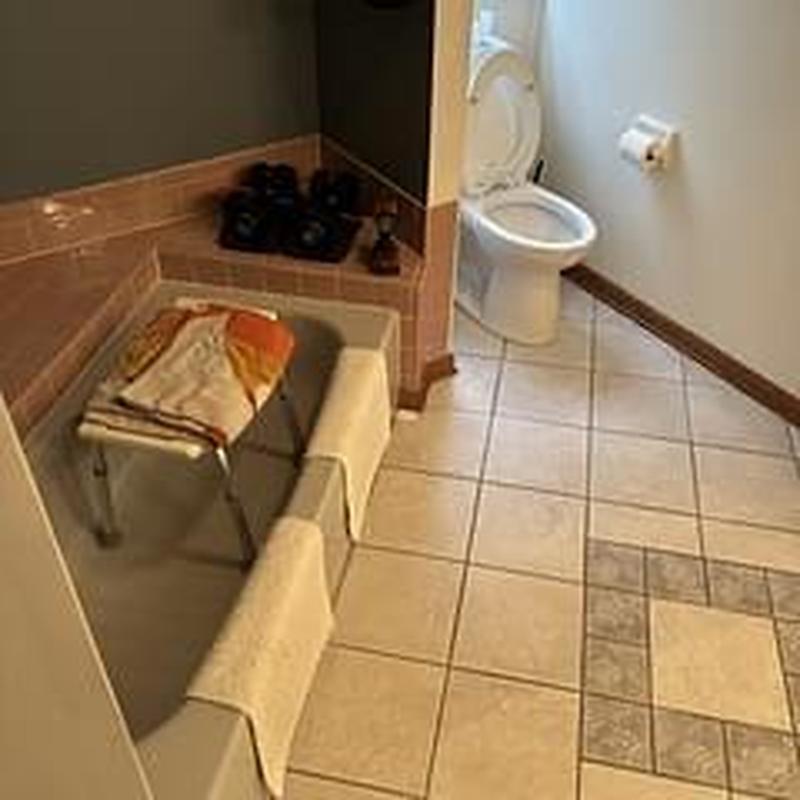 Toilet and bathroom drain line cleaning and reset