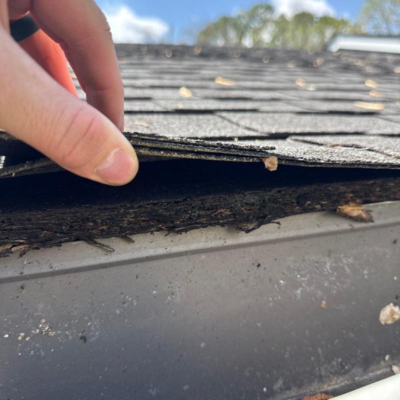 Asphalt shingles lifting revealing roof deck damage