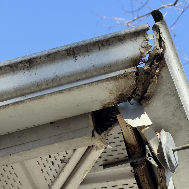 Metal gutter with damaged corner and wood fascia beneath