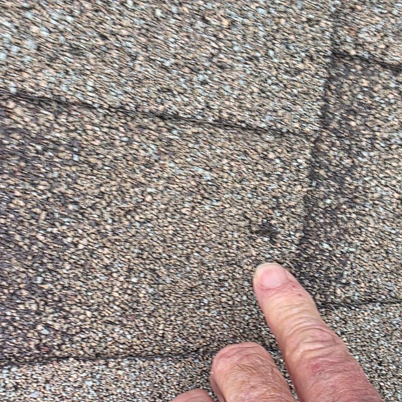 Asphalt roof shingles with hail impact damage detail