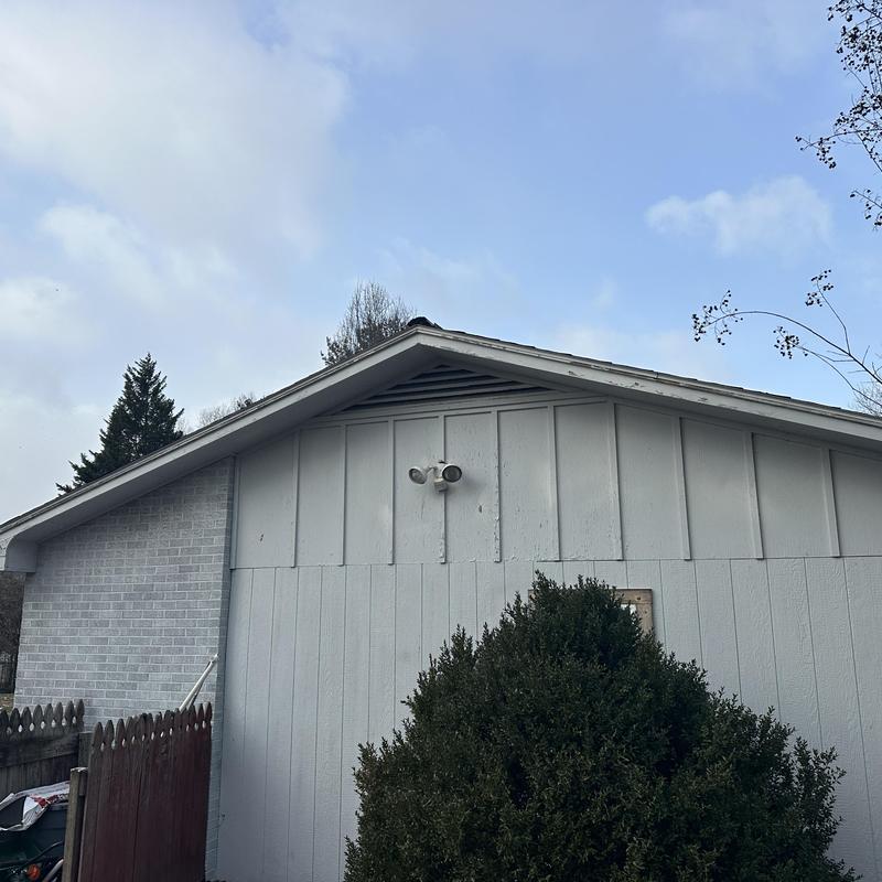 Shingle roof with worn edges and missing shingles