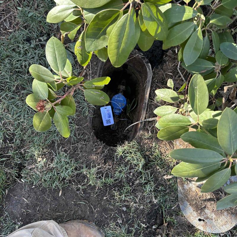 Water meter valve inspection and landscaping restoration Water meter valve inspection and landscaping restoration