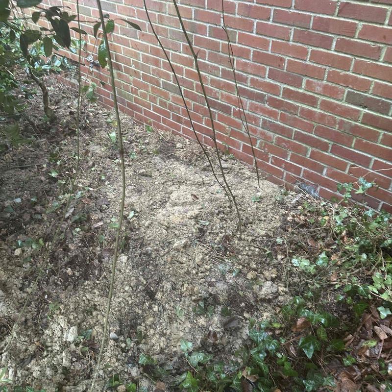 Underground sewer line excavation near brick foundation Underground sewer line excavation near brick foundation