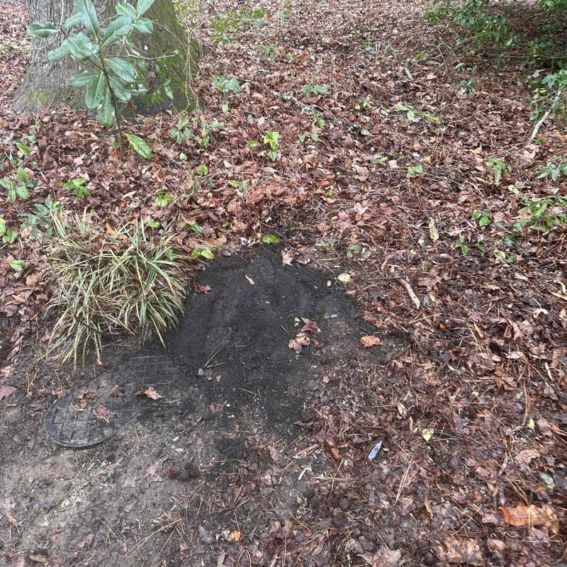 Sewer line excavation site with soil covering near foundation Sewer line excavation site with soil covering near foundation