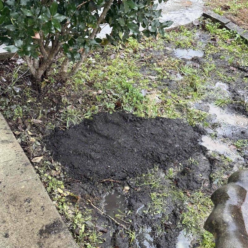 Blue underground pipe in muddy trench backfilled with soil Blue underground pipe in muddy trench backfilled with soil