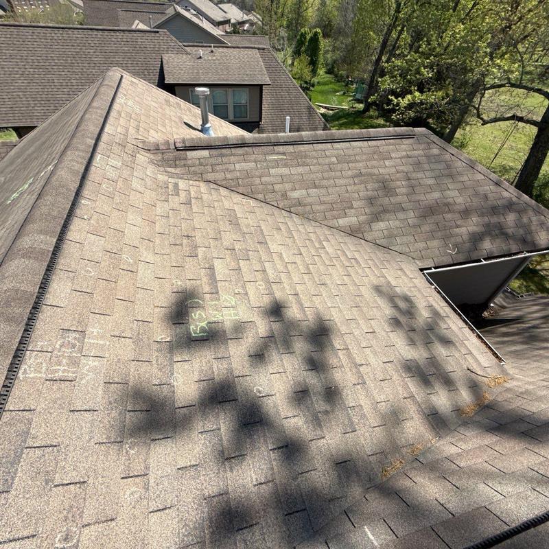Asphalt shingle roof with hail damage markings
