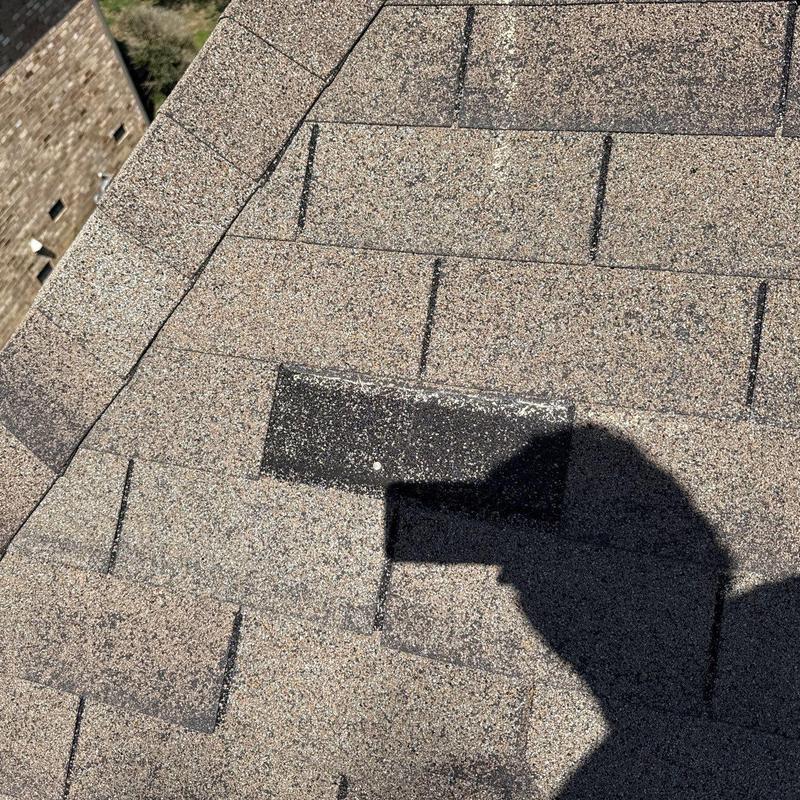 Asphalt roof shingles with hail damage and granule loss