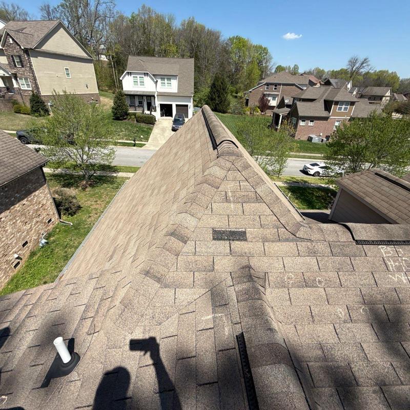 Asphalt shingle roof ridge cap with hail damage markings