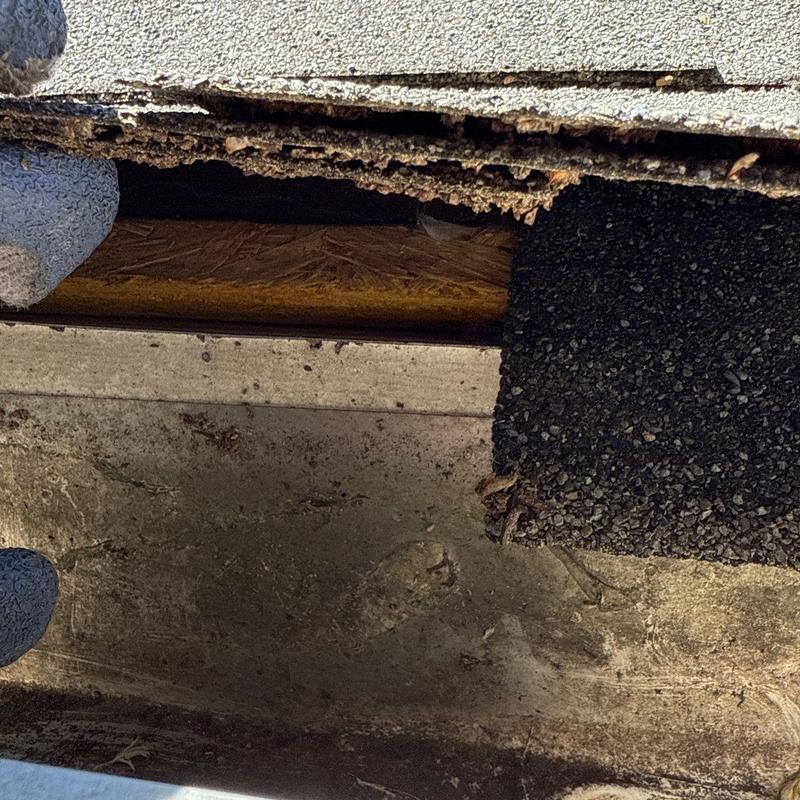 Asphalt shingles edge lifted showing wood decking beneath