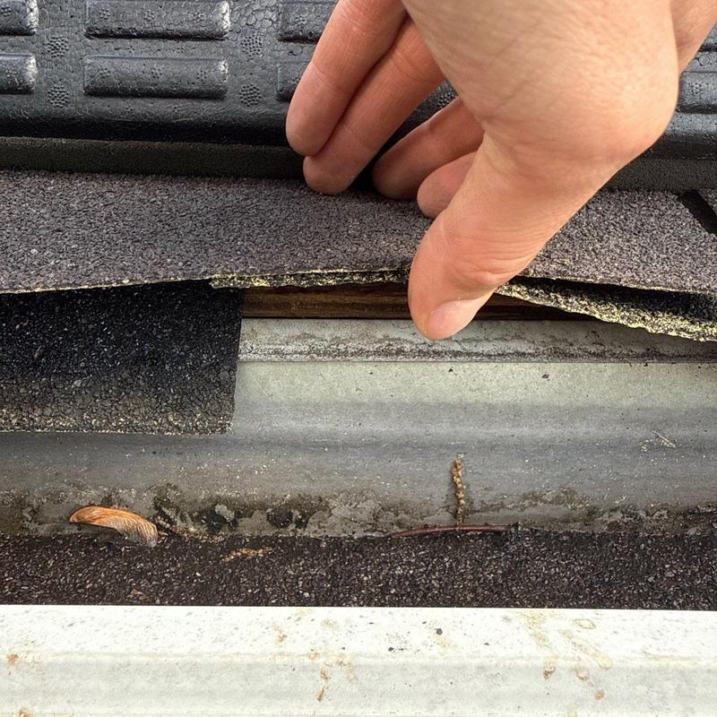 Asphalt shingle roof edge lifted to inspect deck condition