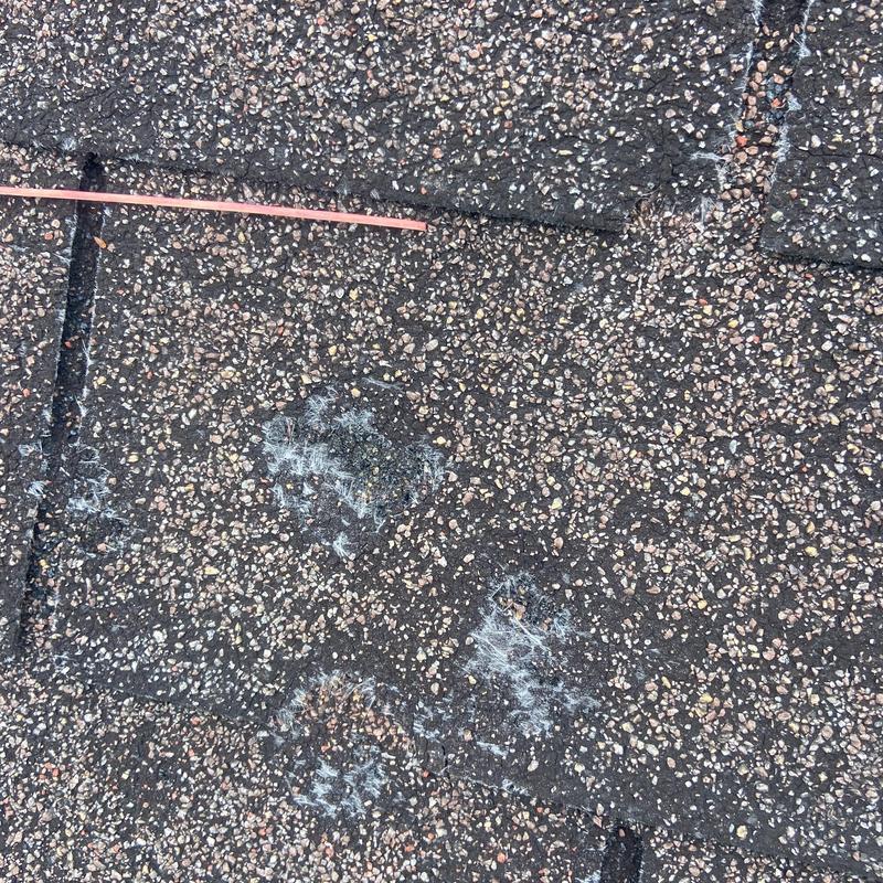 Asphalt shingles with hail impact damage marks