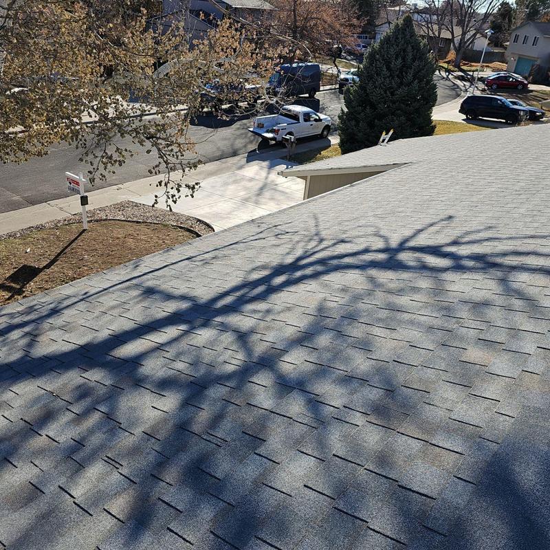 Asphalt shingle roof with tree shadow in residential area Asphalt shingle roof with tree shadow in residential area