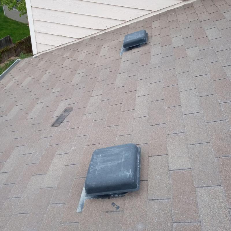 Shingle roof with minor wind damage and vents Shingle roof with minor wind damage and vents