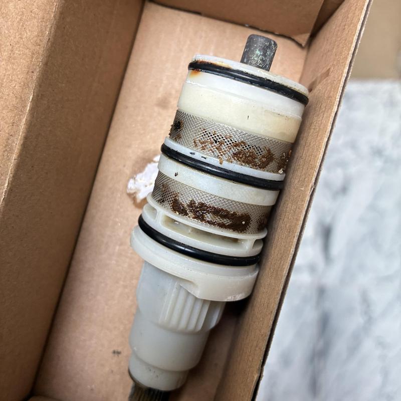 Shower valve cartridge with rust and sediment buildup