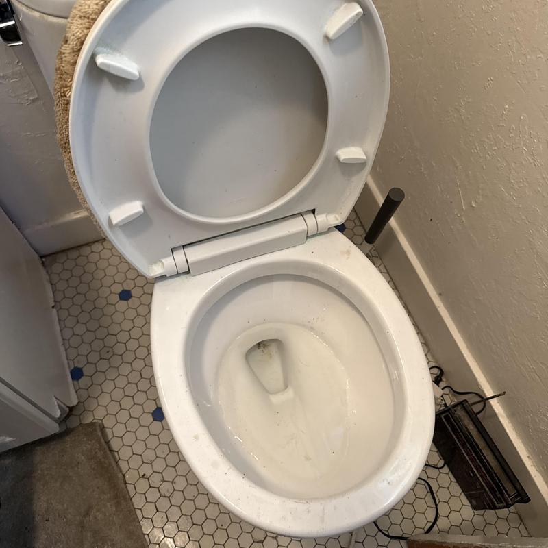 Toilet bowl drain cleared with auger in residence