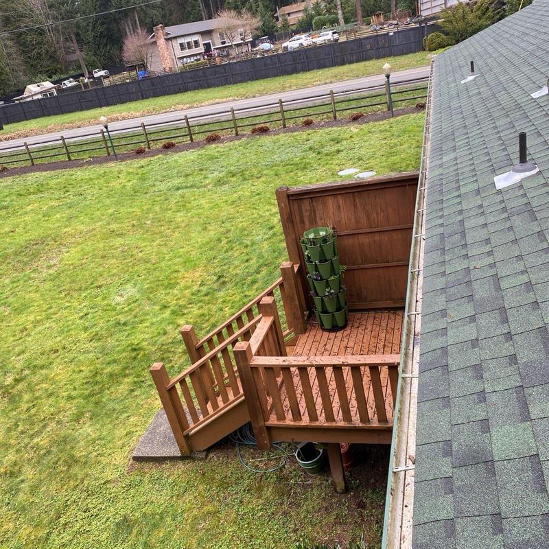 Roof gutter with leaf debris cleared and moss treated
