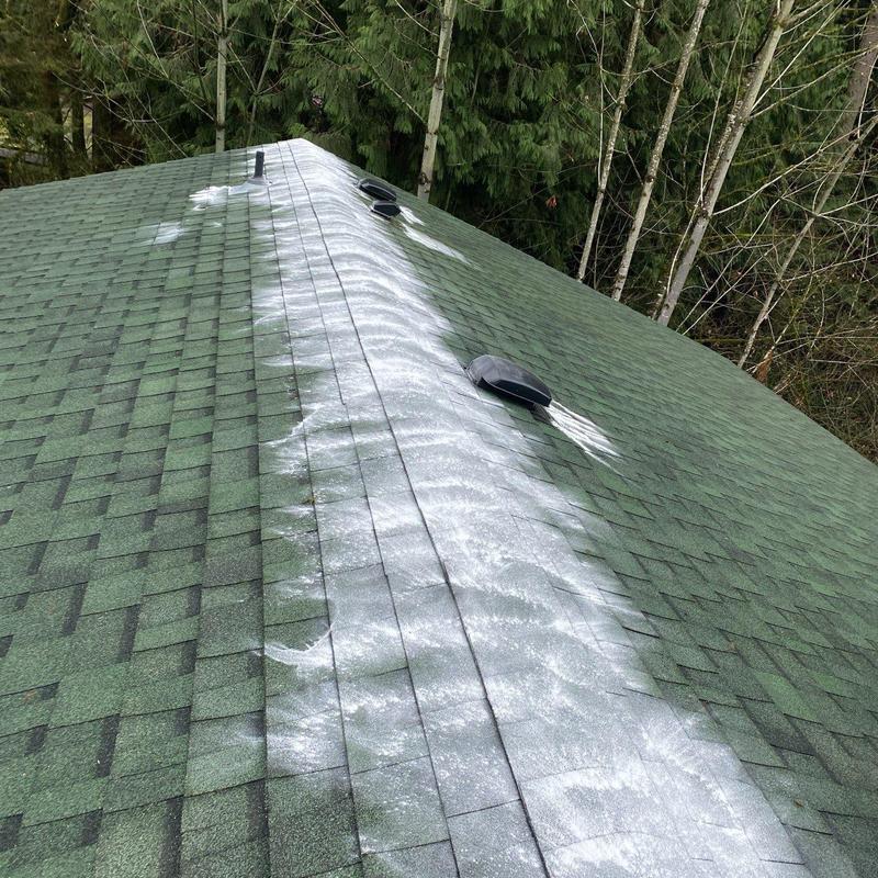 Roof ridge moss treatment and cleaning on green shingles