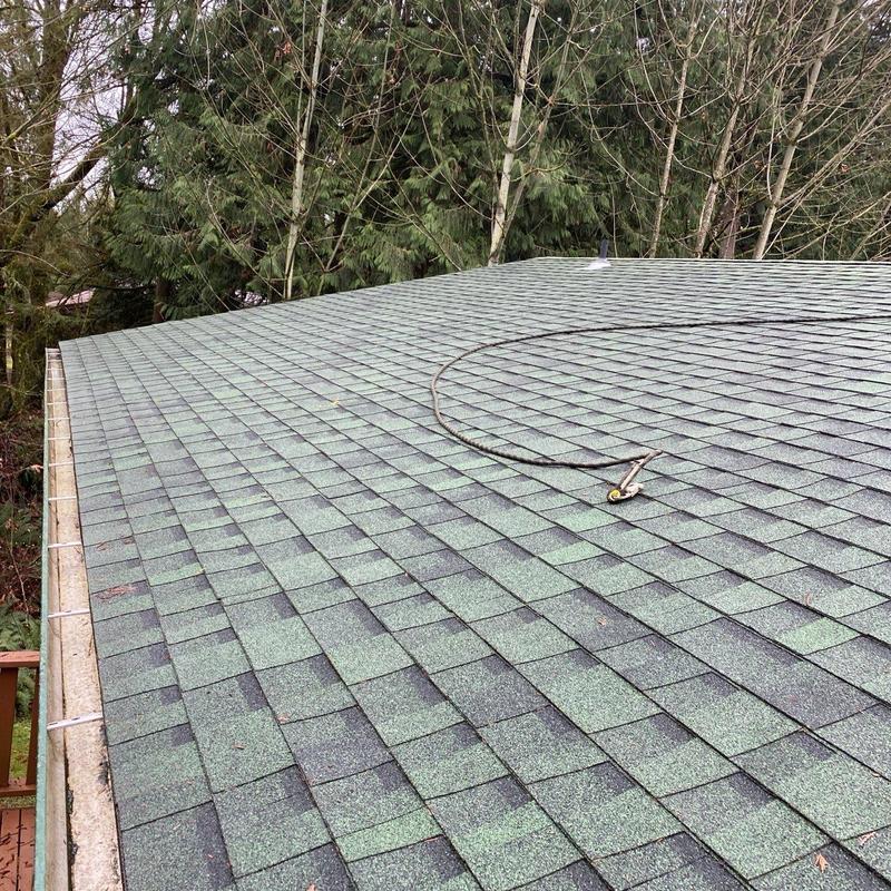 Roof shingles with cleaned gutters and moss treatment