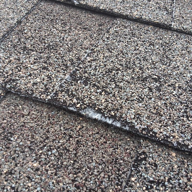 Asphalt shingle roof with granule loss and damage