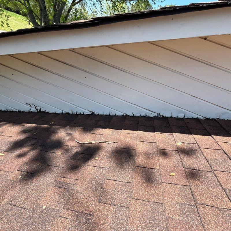 Asphalt shingle roof with hail damage near siding panel