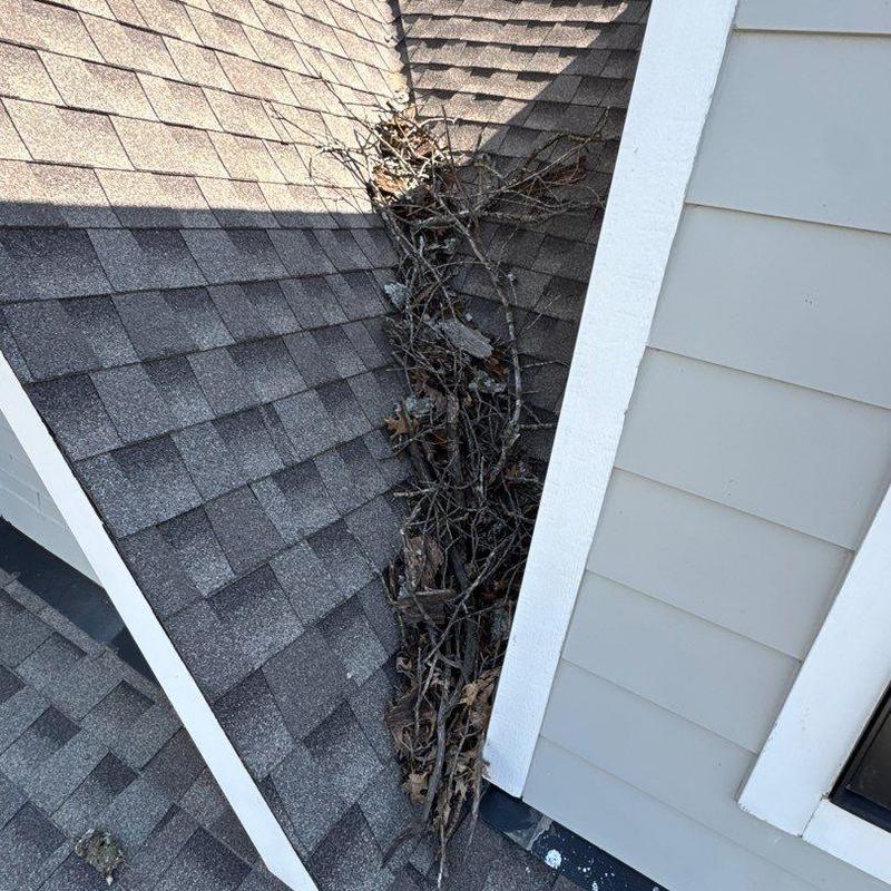 Roof valley with debris buildup near siding