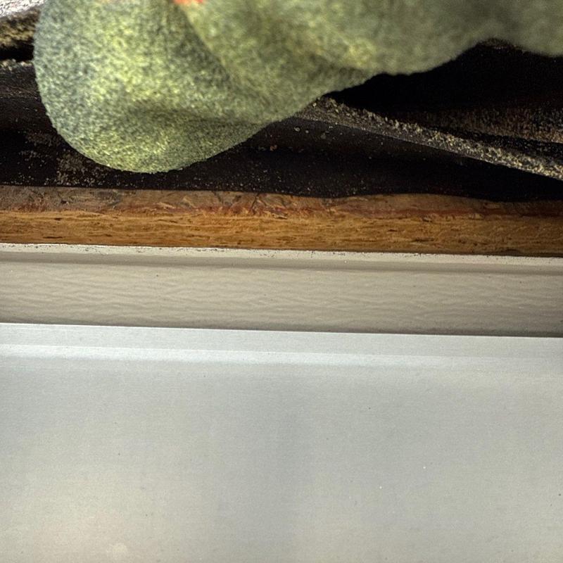 Asphalt shingles with hail damage under inspection