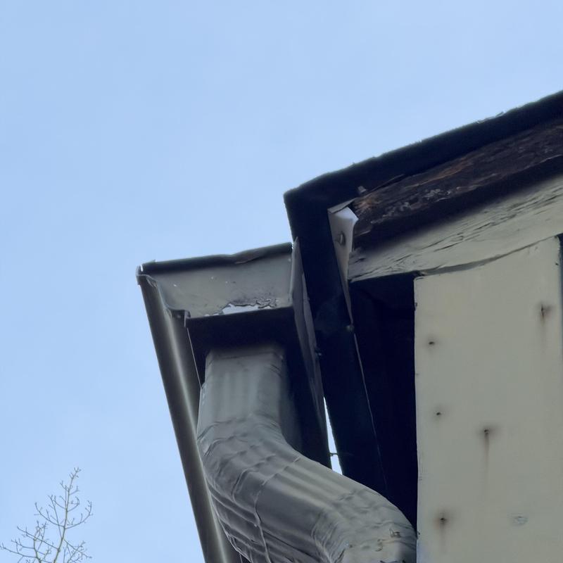Green gutter and downspout pulling away from house