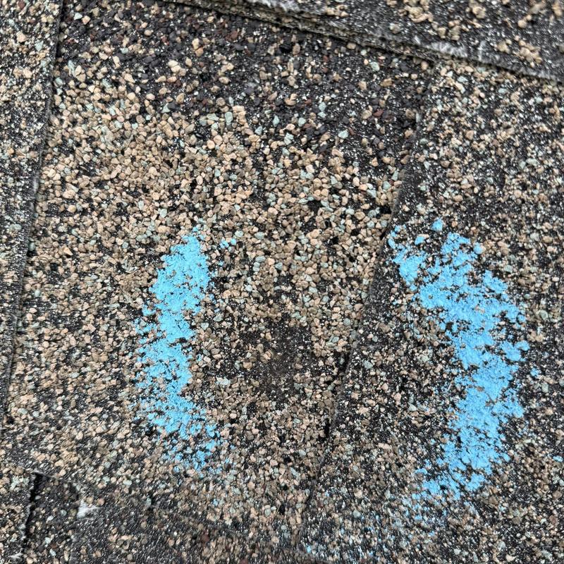 Roof shingles with hail damage marked in blue paint