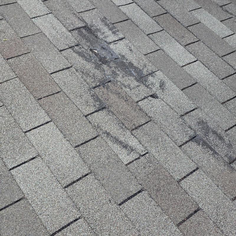 Asphalt shingle roof with hail damage and granule loss