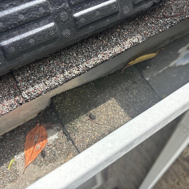 Asphalt shingle roof surface with minor debris