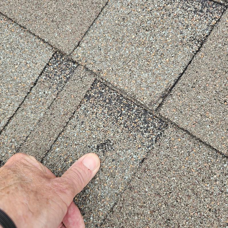 Asphalt roof shingles with hail impact damage