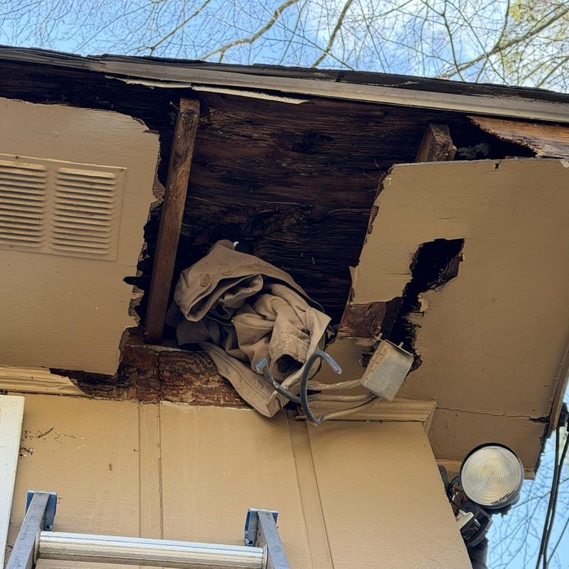 Fascia board and soffit with water damage and exposed wiring