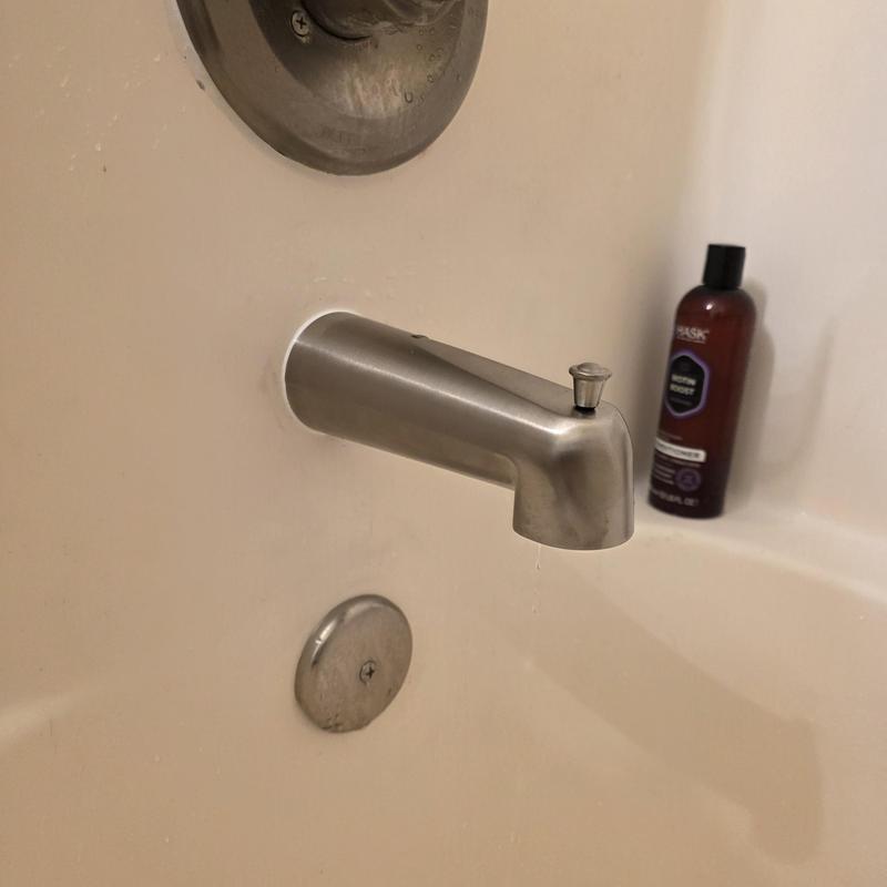 Stainless steel diverter tub spout in bathroom tub