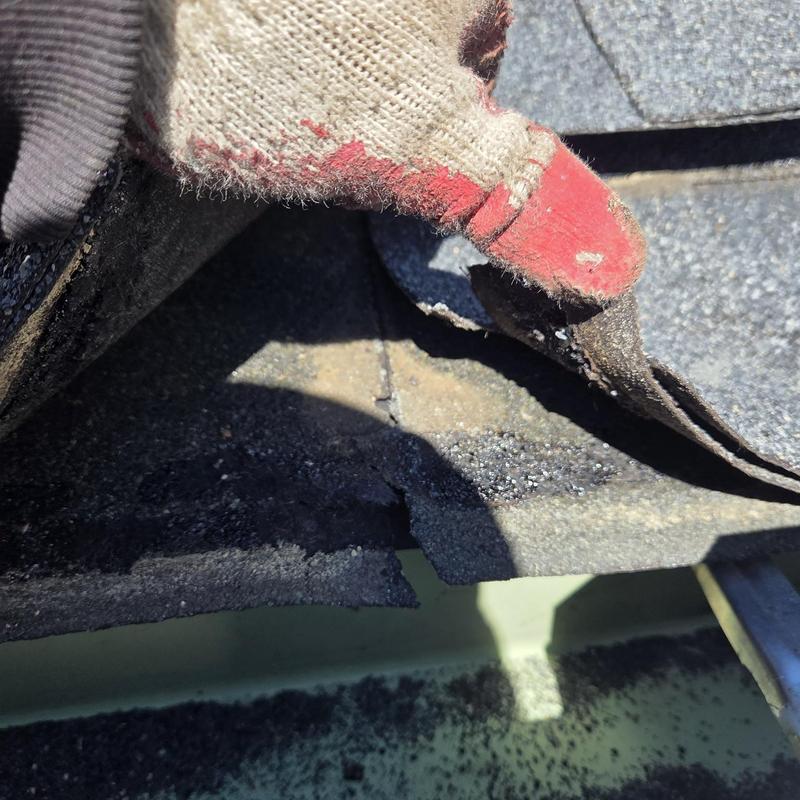 Asphalt shingle lifted for roof leak inspection